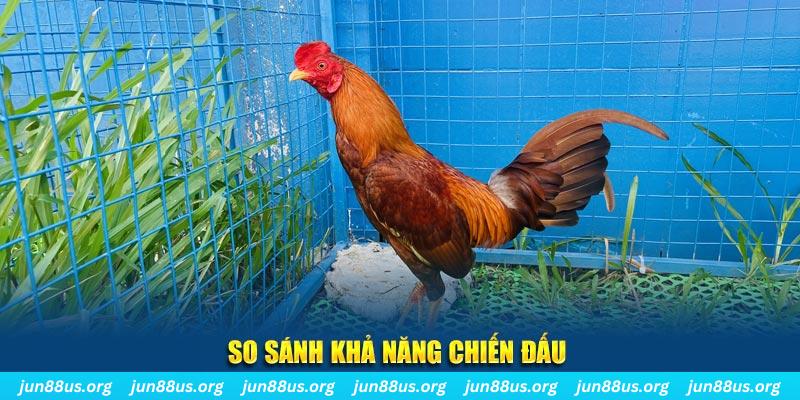 game 88i CQ9 Điện Tử