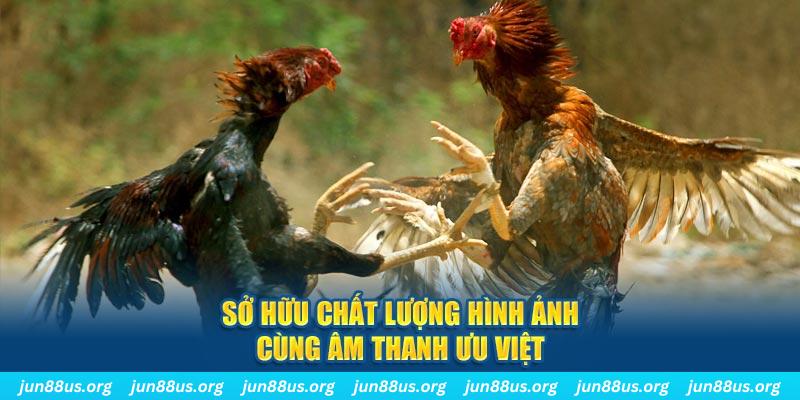 game 88i PP Điện Tử